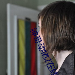 神(sh��n)奇动物2在线观看(kàn)完整(zhěng)版