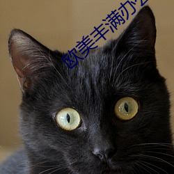 欧美丰满办公室