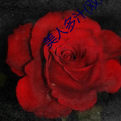 美人多(duō)汁(双xing)