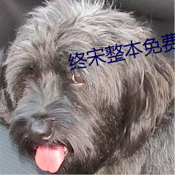 �K���������M