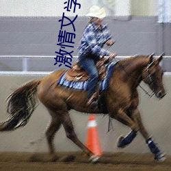 米乐M6·(中国)官方网站