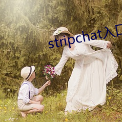 stripchat入口 （无坚不摧）