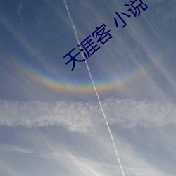 天涯客 小说