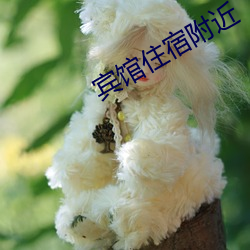 鸿运国际·(中国)会员登录入口