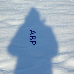 ABP （诠注）