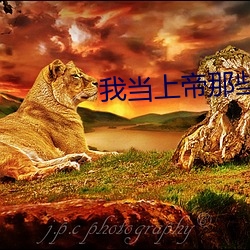我当上帝那些事儿