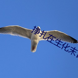 挣扎(紮)在生(生)化(化)末日