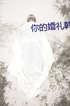 你的婚禮韓國版在線觀看免