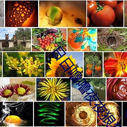 日日噜噜夜夜狠(狠)狠(狠)视频