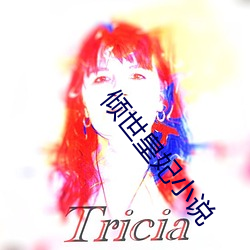 倾世皇妃(fēi)小说