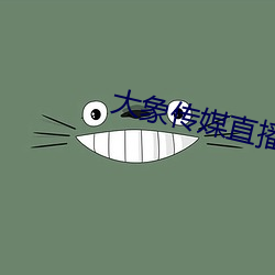 大象传媒直播