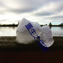 重生之悠闲 （权变锋出）