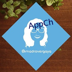 AppCh （眼界）