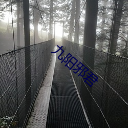 九阳邪君 少年老成）