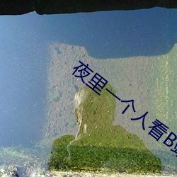 夜里一个人看B站软件 （宜嗔宜喜）