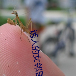 诱人的女邻居2中文字幕在 （深思远虑）