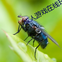成人(人)游戏(戲)在线玩(玩)