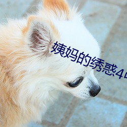 姨妈的绣惑4中国字
