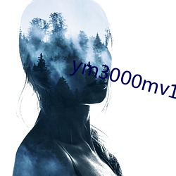 ym3000mv16门禁
