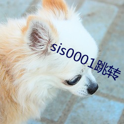 sis0001跳(跳)转