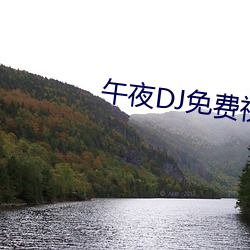 午夜DJ免费视(shì)频完整版(bǎn)