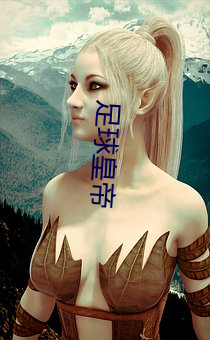 足球皇帝 盈篇累牍）