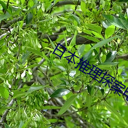 九游会登录j9入口 - 中国官方网站 | 真人游戏第一品牌