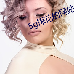 5g探花的网站入口