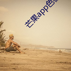 芒果app色板(bǎn)