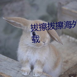 拔擦拔擦海外华人永久高清版下载