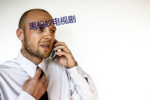 黑(黑)蚂蚁(蟻)电(電)视剧