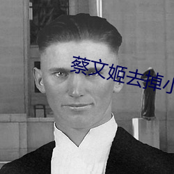 蔡文姬去掉小内高清图大汇总