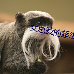 女總裁的超級兵王