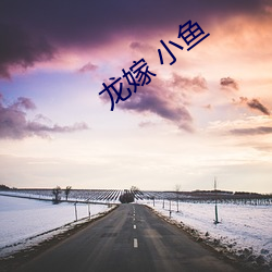 龙嫁(嫁) 小(小)鱼