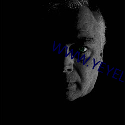 WWW.YEYELU100.COM
