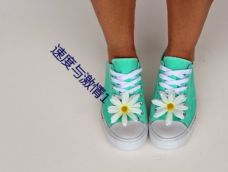速度(度)与激情(情)1