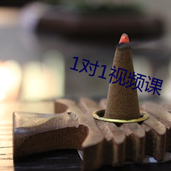 1对1视频(pín)课(kè)