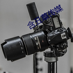 金年会(中国)官方网站
