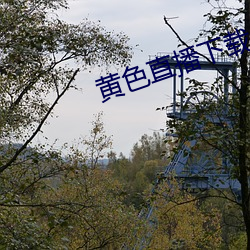 黄色直播下(xià)载