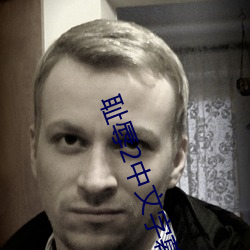 耻辱2中文字幕怎么调