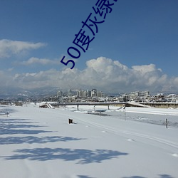 50度灰绿巨人导航 片鳞只甲）