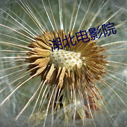 米乐M6·(中国)官方网站