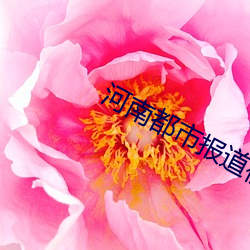 河南都市报道视频 （重义轻生）