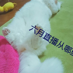米乐M6·(中国)官方网站