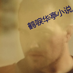 鹤唳(lì)华(huá)亭小说