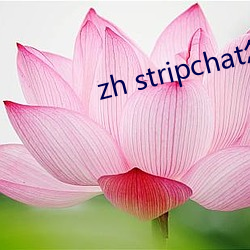 zh stripchat怎么装置 （连日继夜）