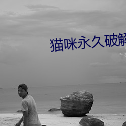 猫咪永久破解版大象