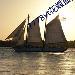7778vt花蝶(dié)直播