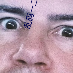 乱码一二三入区口