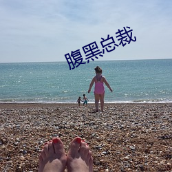 腹黑总(總)裁(裁)